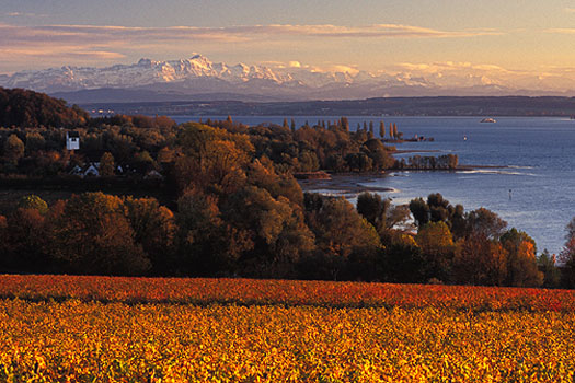 Birnau - Herbst am See