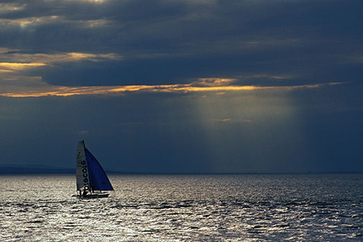 Rheindamm - Segelboot und Sonnenstrahlen
