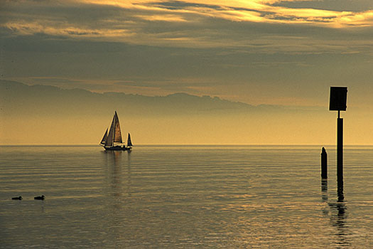 Wasserburg - Segelboote im Abendlicht