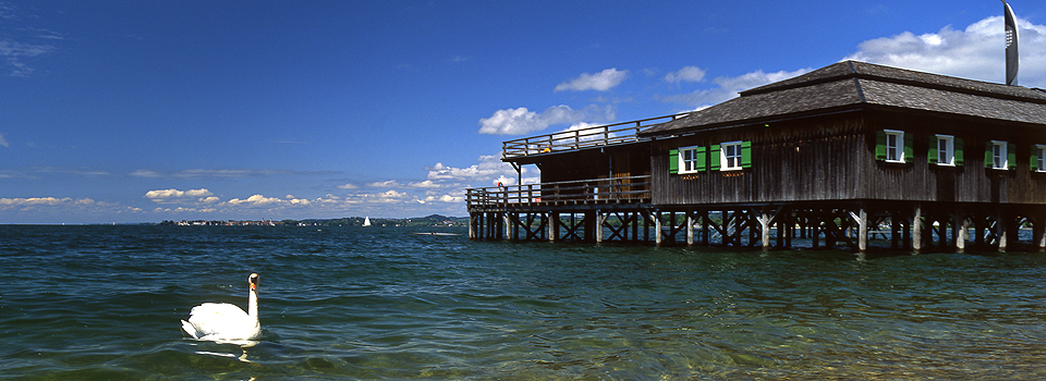 Bregenz - Mili 3