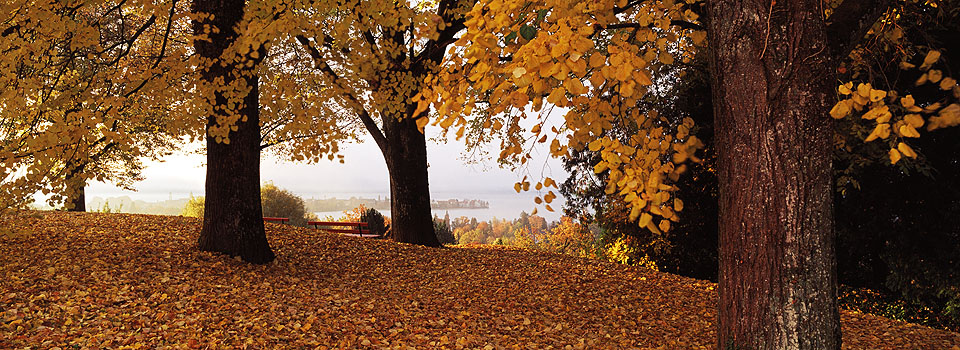 Lindau - Herbst am Hoyerberg