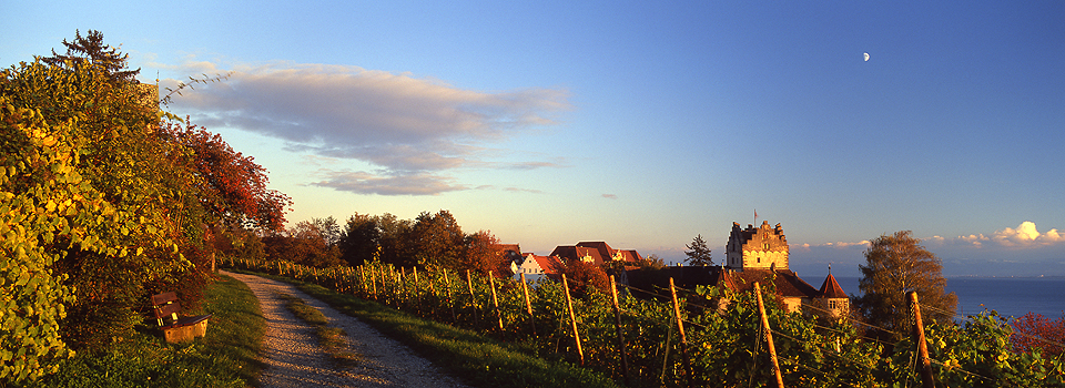 Meersburg - Burg und Weinberge im Herbst