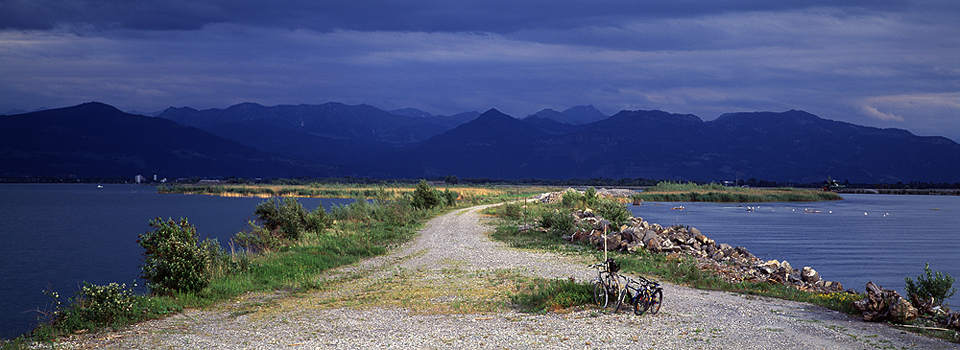 Rheindamm - Blick auf Alpen 1
