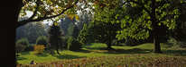 Bad Schachen - Lindenhofpark 1