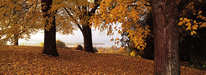 Lindau - Herbst am Hoyerberg