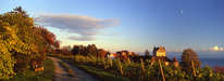 Meersburg - Burg und Weinberge im Herbst