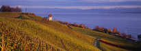 Meersburg - Weinberge und See im Herbst 1