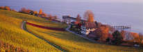 Meersburg - Weinberge und See im Herbst 2
