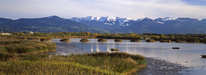 Rheindamm - Blick auf Alpen 2