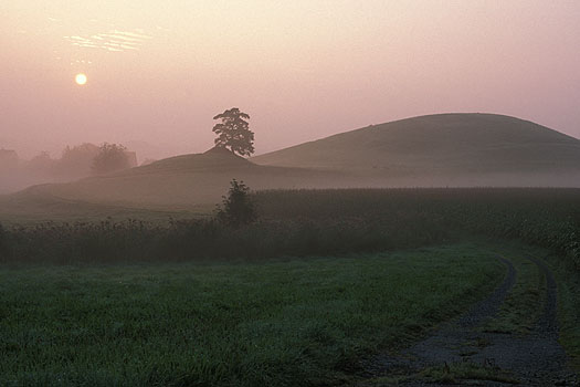 Amtzell - Sonnenaufgang im Herbstnebel