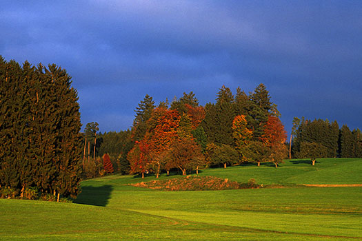 Pechtensweiler - Hinterland im Herbst
