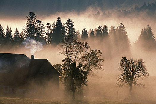 Pfänderrücken - Bauernhof im Morgennebel