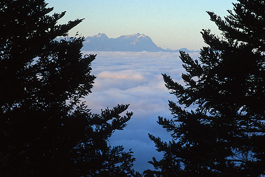 Pfänderrücken - Säntis