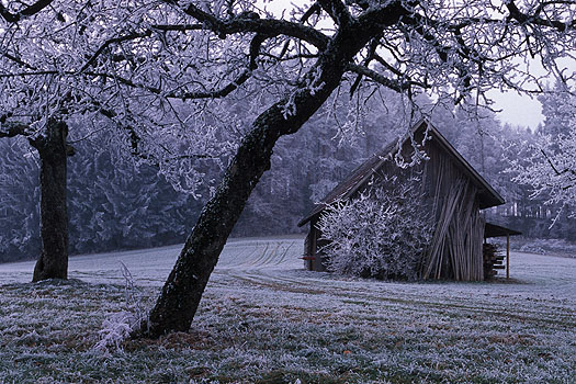 Schleinsee - Winter im Hinterland