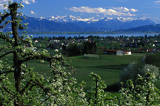 Taubenberg - Blick auf See und Alpen im Frühling
