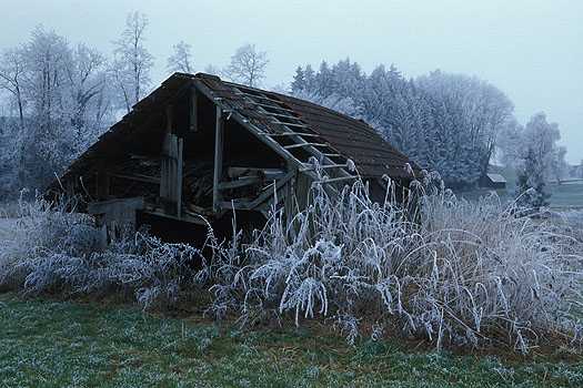 Unterreitnau - Schuppen