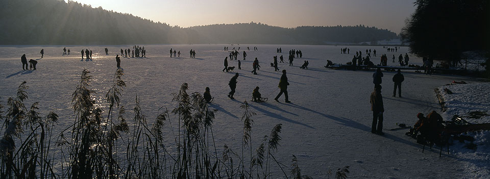 Degersee - Schlittschuhläufer