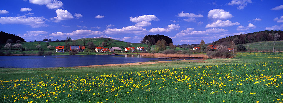Muttelsee - Frühling
