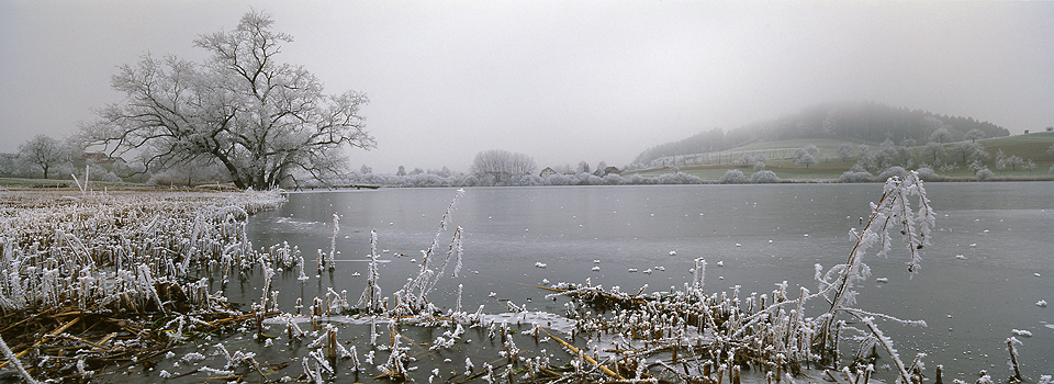 Muttelsee - Raureif