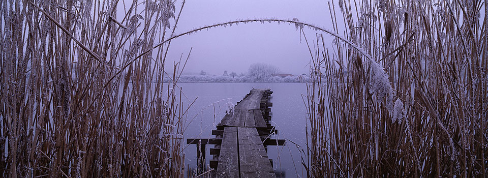 Muttelsee - Winterstimmung