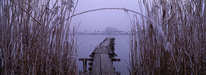 Muttelsee - Winterstimmung
