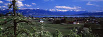 Taubenberg - Blick auf Bodolz, See und Alpen