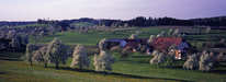Unterreitnau - Bruggach im Frühling