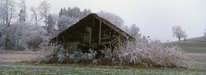 Unterreitnau - Schuppen im Winter