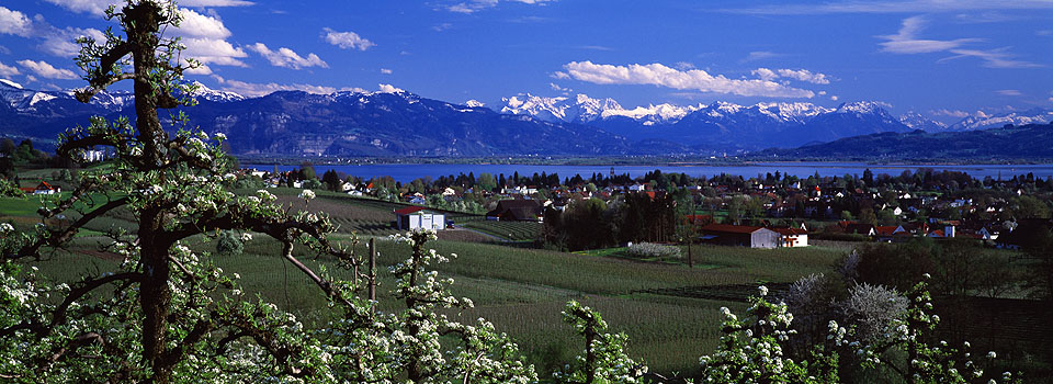 Taubenberg - Blick auf Bodolz, See und Alpen