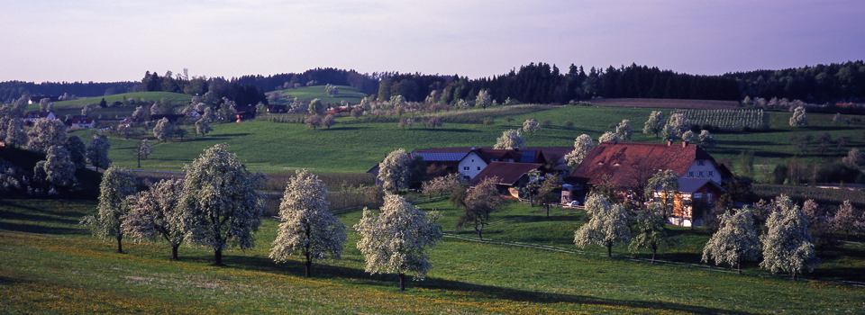 Unterreitnau - Bruggach im Frühling