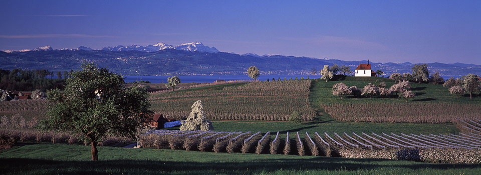 Wasserburg - Antoniuskapelle im Frühling 1