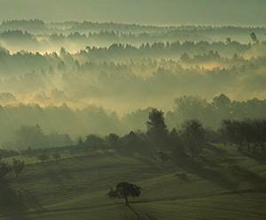 Hinterland